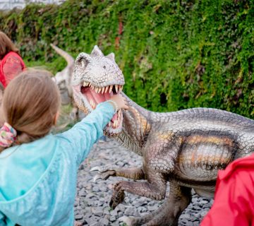 Musea voor kleine kinderen