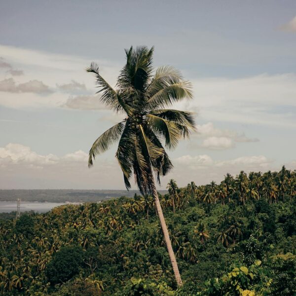 Bezienswaardigheden in Suriname (1) Bezienswaardigheden in Suriname