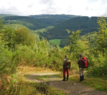 Wist je dat de Ardennen vol zitten met spannende activiteiten?