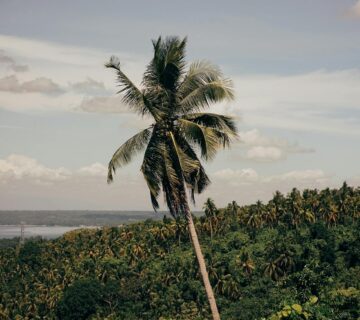Bezienswaardigheden in Suriname