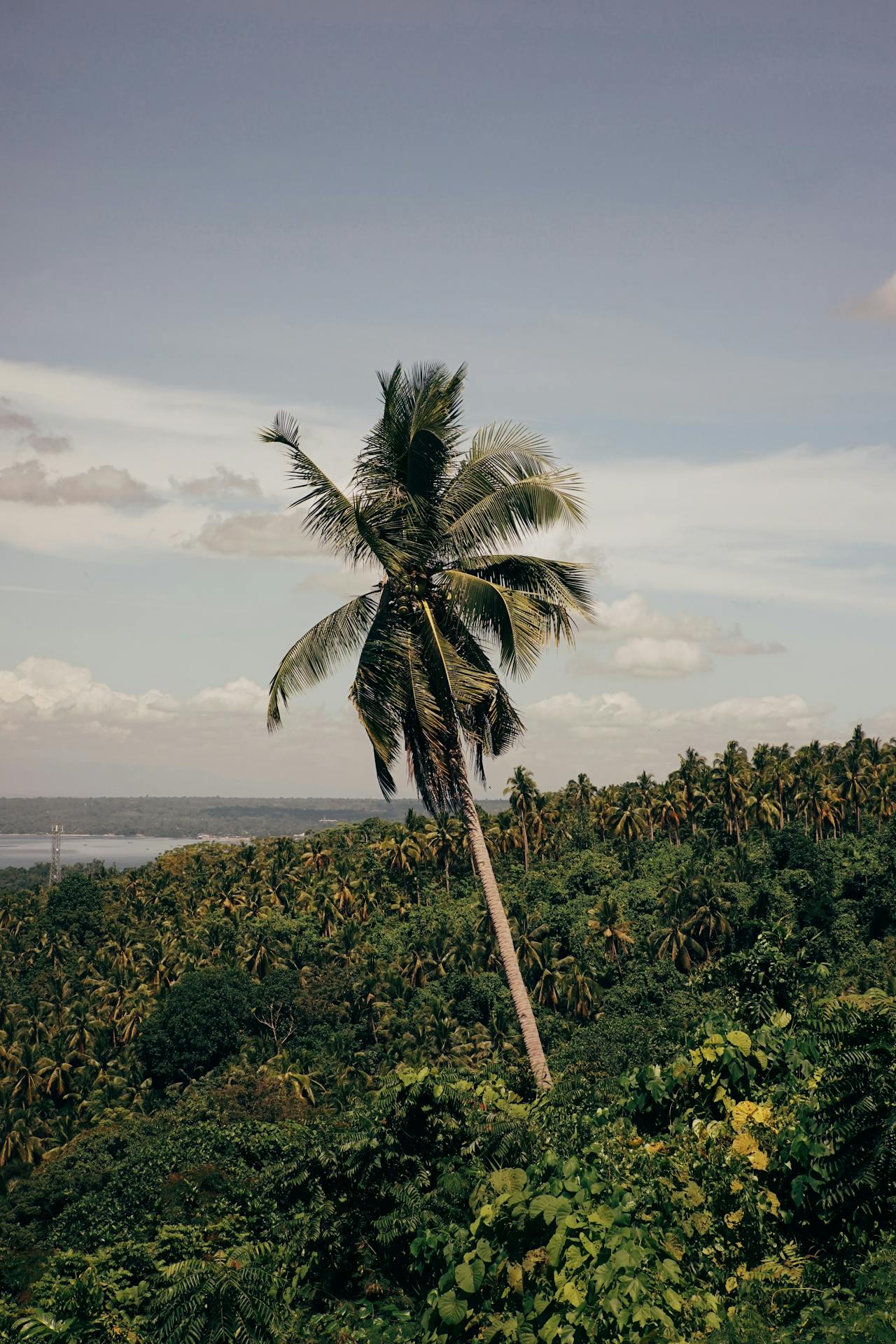 Bezienswaardigheden in Suriname